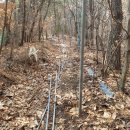BADUGI 이미지