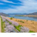 강변공원 이미지