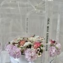 잠신병설유치원 이미지