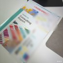 백미브로우 | 판교 퍼스널컬러 진단 @브랜미 판교점