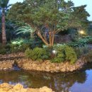 오렌지가든 이미지