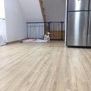 이쁘개 이동미용 이미지