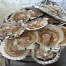 회뜰날조개구이 이미지