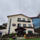 가오리와방패연 이미지