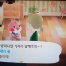 체리 오오 체리