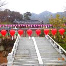 김해 신어산 [神魚山] 산행기 (한백산악회 ) 이미지