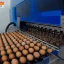 한솔유통 네이버블로그