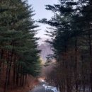 양평 여인숙 이미지