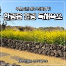 소도락하우스 | 제주 한림읍 부모님 한달살기 독채 숙소 소도락하우스 솔직후기