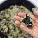 수원-0016 이미지