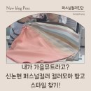 강남대로83길 56-11 | 강남 퍼스널컬러 잘하는 곳 찾다가 컬러모아 방문한 후기 (1:1 진단 리얼 후기)