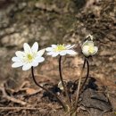 팔현1리 마을회관 이미지