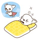 나나 애견 미용실 이미지