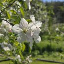 서동리 마을회관 이미지