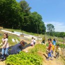 꿈나무농장 이미지