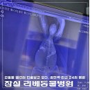 잠실준25시 동물병원 | 잠실 리베동물병원｜햄스터 배에 혹, 종양? 소동물 햄스터 진료 비용 및 후기
