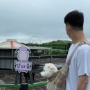 팔암농장 이미지