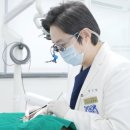 하루안치과의원 이미지