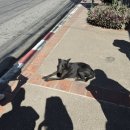 상구약국 이미지