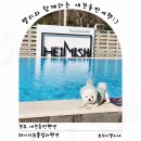 헤이미쉬풀빌라 펜션 이미지