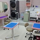 쌀롱 드 빼로 이미지