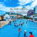 워터피아 강남점 | 속초 아이랑 가볼만한곳 한화리조트 설악쏘라노 워터피아 가격