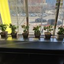 신선설농탕 | 일산백석역 설렁탕맛집! 내돈내산후기! <신선설농탕 일산백석점>