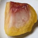 이례농장 이미지