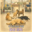 카페훈트 | 유기견 입양 카페 '훈트' 후기 | 사지 말고 입양하세요 🐕