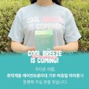 드림얼라이언스