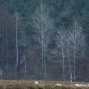 기억 여행- 즐거운 이미지