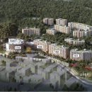 파인트리 이미지