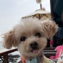 몽글몽글