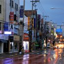 청춘복덕방공인중개사사무소 이미지