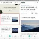 구례가볼만한곳 지리산 노고단, 쌍산재, 섬진강대나무숲(한국일보 2021.03.19)