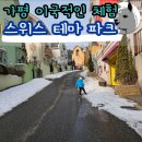 가평 사계절 썰매 이국적 체험 에델바이스 스위스 테마파크 후기(영상 포함)