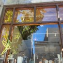 영창약국 이미지