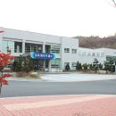 팔괴로2 티스토리