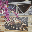 팔팔풍천민물장어 이미지