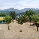 소나무식육식당 | [경상남도 양산시] 산바다대나무집