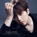 자비시 (JAVISI)