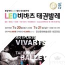 LED비바츠 태권발레 이미지