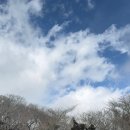 더오름민박 이미지