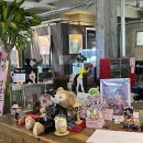 메그네이트 이미지