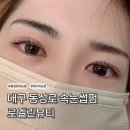 깜장붕어 | [대구 동성로 속눈썹펌] 아이돌속눈썹 잘하는 곳 로엘린뷰티 블랙틴팅펌 전후