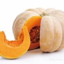 정글짐 서사라점 이미지