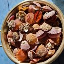 청산마을 이미지