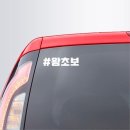 월드카샵 쇼핑하우