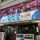 선장24시횟집 | 광주 화정동 맛집 무등시장 모듬회 황선장