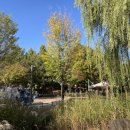 능골공원 화장실 이미지